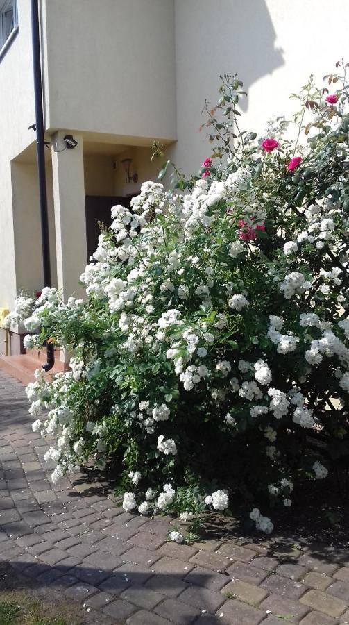 Domki Kapitanskie Z Prywatnym Polem Do Gry W Mini Golf Rewal Dış mekan fotoğraf